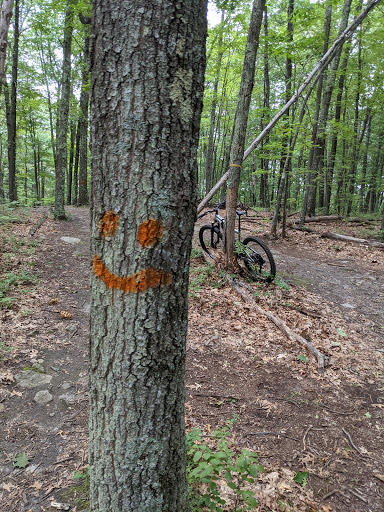 State Park «Lowell-Dracut-Tyngsborough State Forest», reviews and photos, Trotting Park Rd, Dracut, MA 01826, USA