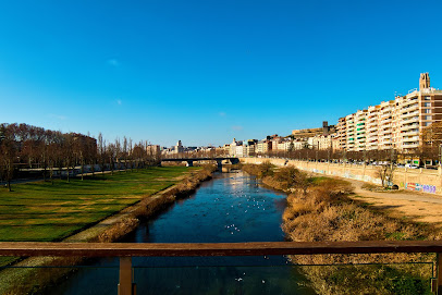 CANALITZACIó DEL RIU SEGRE