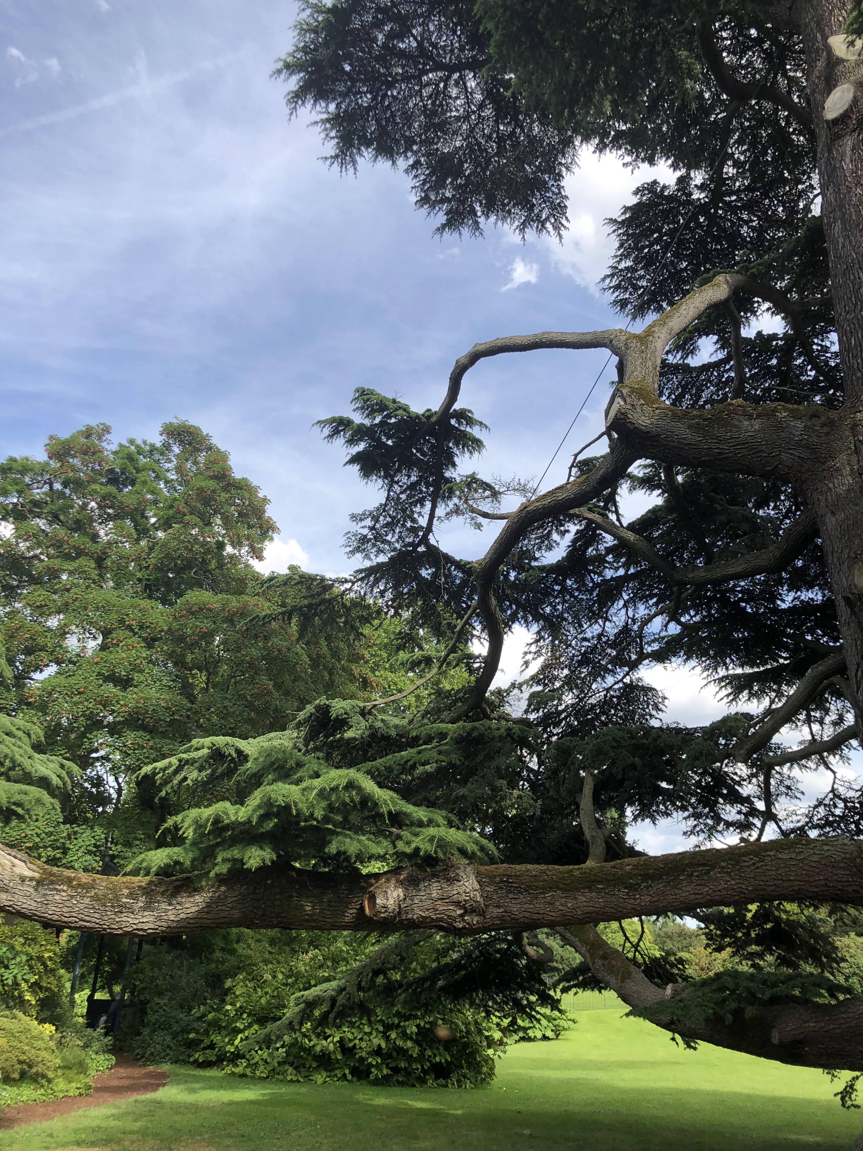 Photo n° 3 de l'avis de Denis.u fait le 18/06/2019 à 20:16