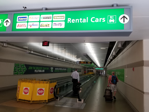 Avis Car Rental