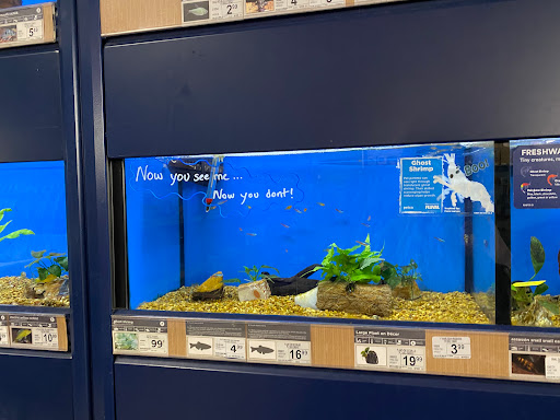 Pet Supply Store «Petco Animal Supplies», reviews and photos, 520 Woodside Rd, Redwood City, CA 94061, USA