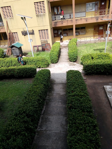 Crona Enterprise, Pen cinema, Agege, Agege, Lagos, Nigeria, Landscaper, state Ogun