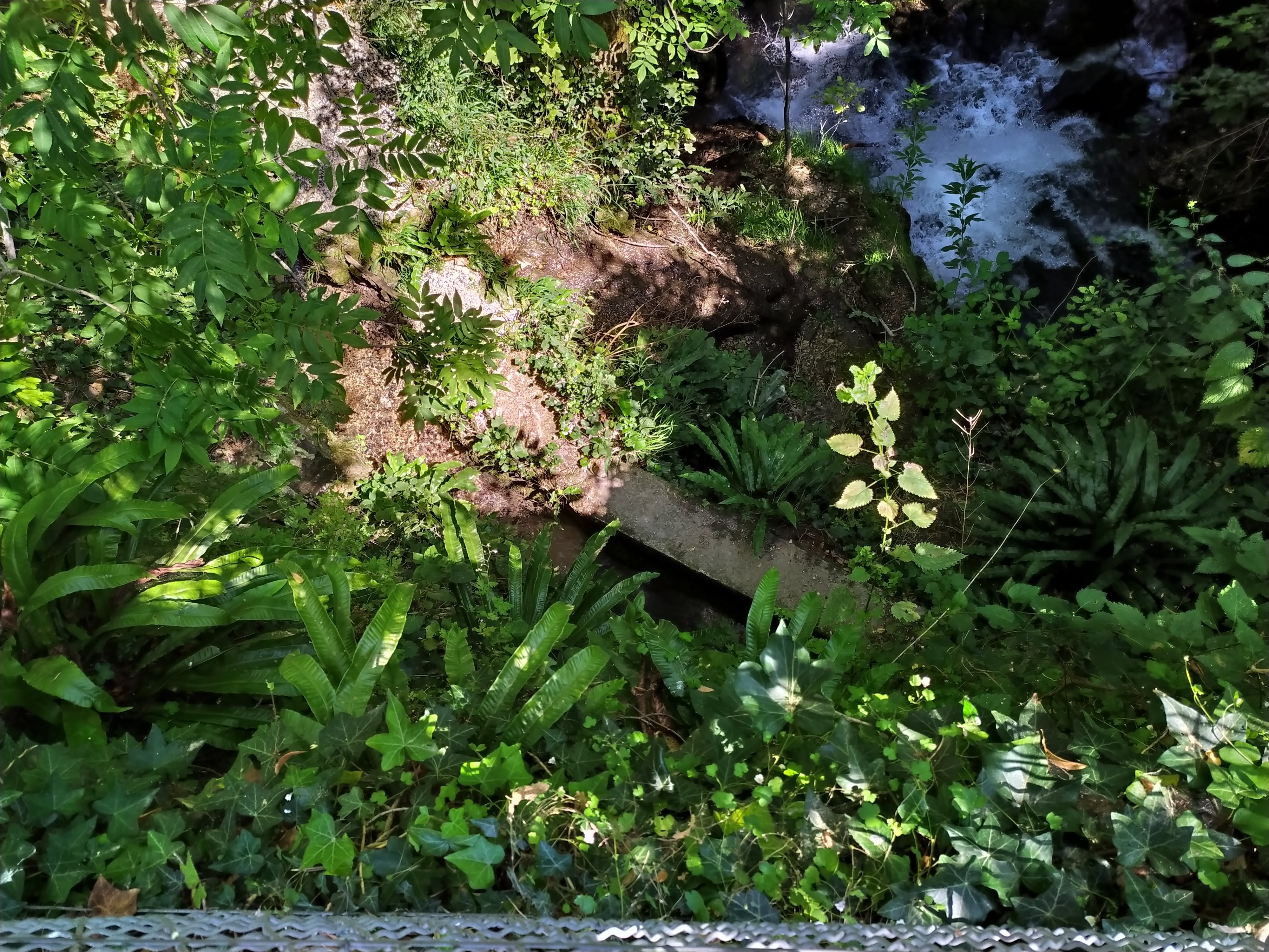 Photo n° 15 de l'avis de Ghisam.e fait le 21/07/2020 à 12:54