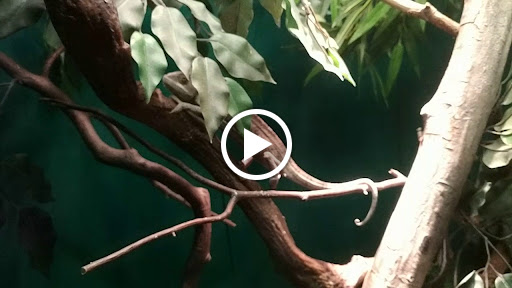 Science Museum «Museum of the Rockies», reviews and photos, 600 W Kagy Blvd, Bozeman, MT 59717, USA