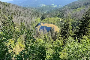 Nationalpark Schwarzwald image