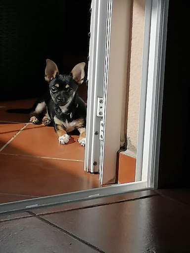 Centro Veterinario Criacanarias Gran Canaria