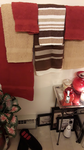 Dollar Store «FAMILY DOLLAR», reviews and photos, 43071 Hayes Rd, Sterling Heights, MI 48313, USA