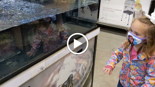 Pet Supply Store «Petco Animal Supplies», reviews and photos, 664 New Loudon Rd #240, Latham, NY 12110, USA