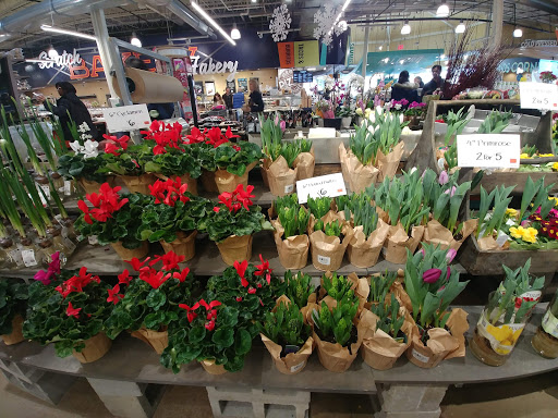 Shopping Mall «Fox Run Mall», reviews and photos, 25-55 Welles St, Glastonbury, CT 06033, USA