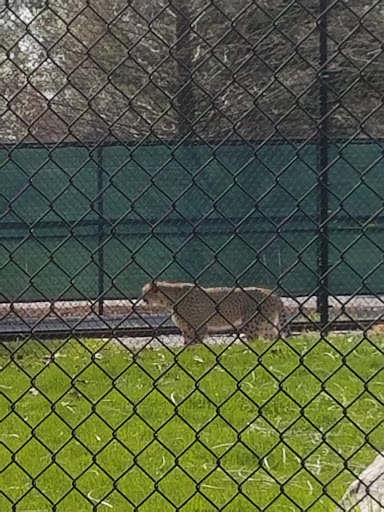 Aquarium «Toledo Zoo Aquarium», reviews and photos, 2700 Broadway St, Toledo, OH 43609, USA