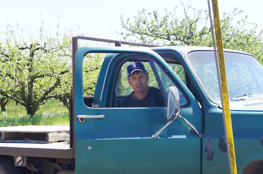 Produce Market «B&P Hitz Fruit Farm (Apples N Produce)», reviews and photos, 14070 Wilco Hwy NE, Woodburn, OR 97071, USA