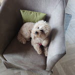 Photo n°3 de l'avis de Gianluca.e fait le 29/03/2024 à 15:13 sur le  Hotel Villa Kastelruth à Kastelruth