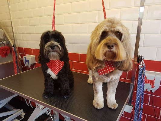 Rudies Dog Parlour