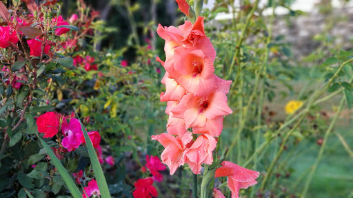 Country Club «Amesbury Golf and Country Club», reviews and photos, 3 Country Club Rd, Amesbury, MA 01913, USA