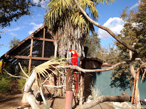 Zoo «Charles Paddock Zoo», reviews and photos, 9100 Morro Rd, Atascadero, CA 93422, USA