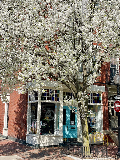 Toy Store «Tadpole», reviews and photos, 58 Clarendon St, Boston, MA 02116, USA