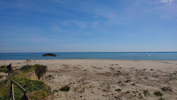 Photo de Primosole Beach - endroit populaire parmi les connaisseurs de la détente