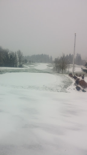 Golf Course «Chehalem Glenn Golf Course», reviews and photos, 4501 E Fernwood Rd, Newberg, OR 97132, USA