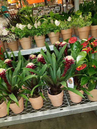 Home Improvement Store «The Home Depot», reviews and photos, 1155 High St, Wadsworth, OH 44281, USA