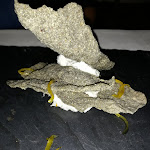 Photo n°1 de l'avis de paolo.r fait le 03/10/2019 à 07:15 sur le  Ristorante Chiesetta Del Mucciòn à Schio