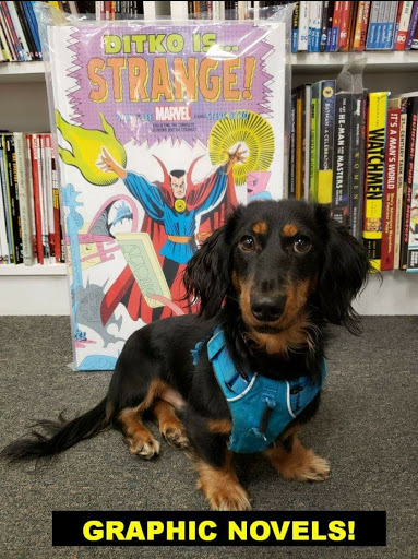 Comic Book Store «Comics On the Green», reviews and photos, 307 N Washington Ave, Scranton, PA 18503, USA