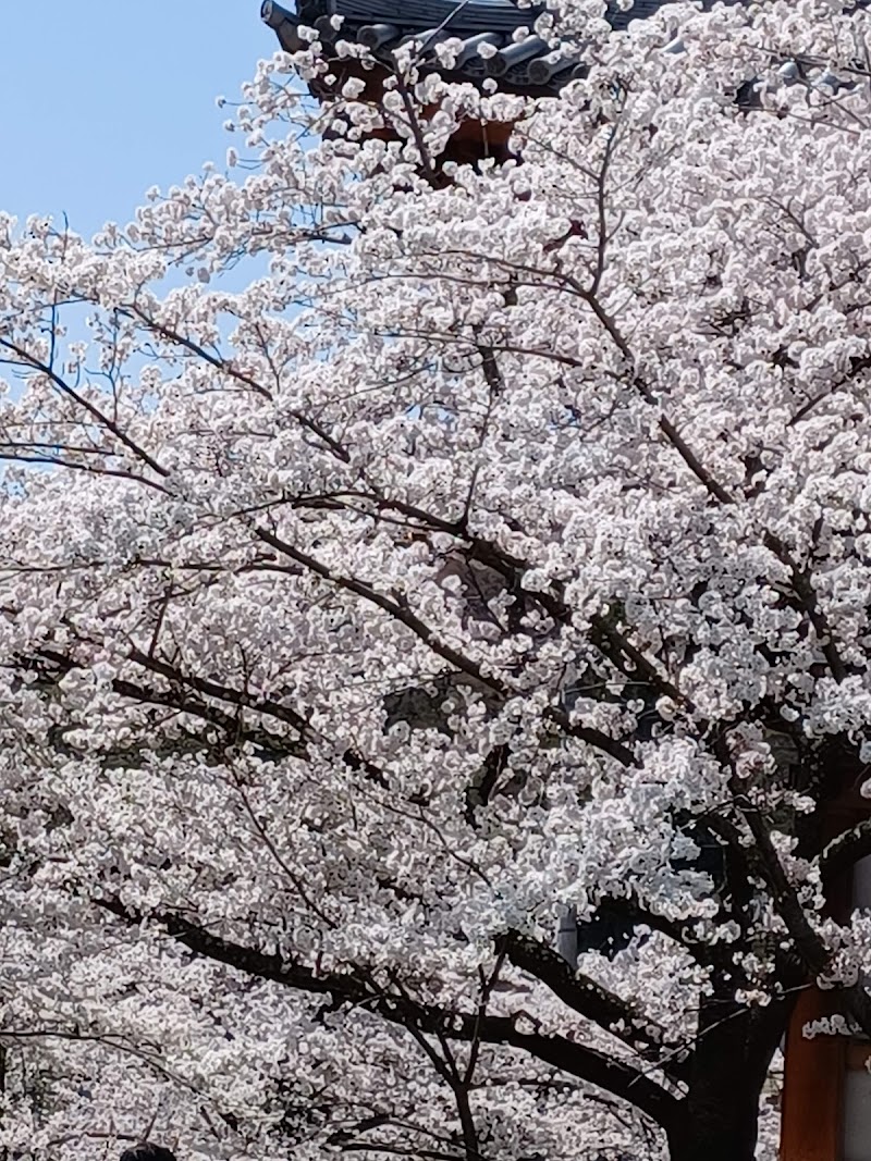 善光寺 雲上殿