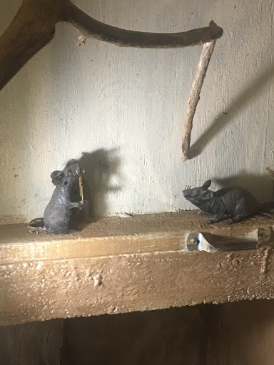 Tourist Attraction «The Cave House - Linda Collier», reviews and photos, 1623 Charles Page Blvd, Tulsa, OK 74127, USA