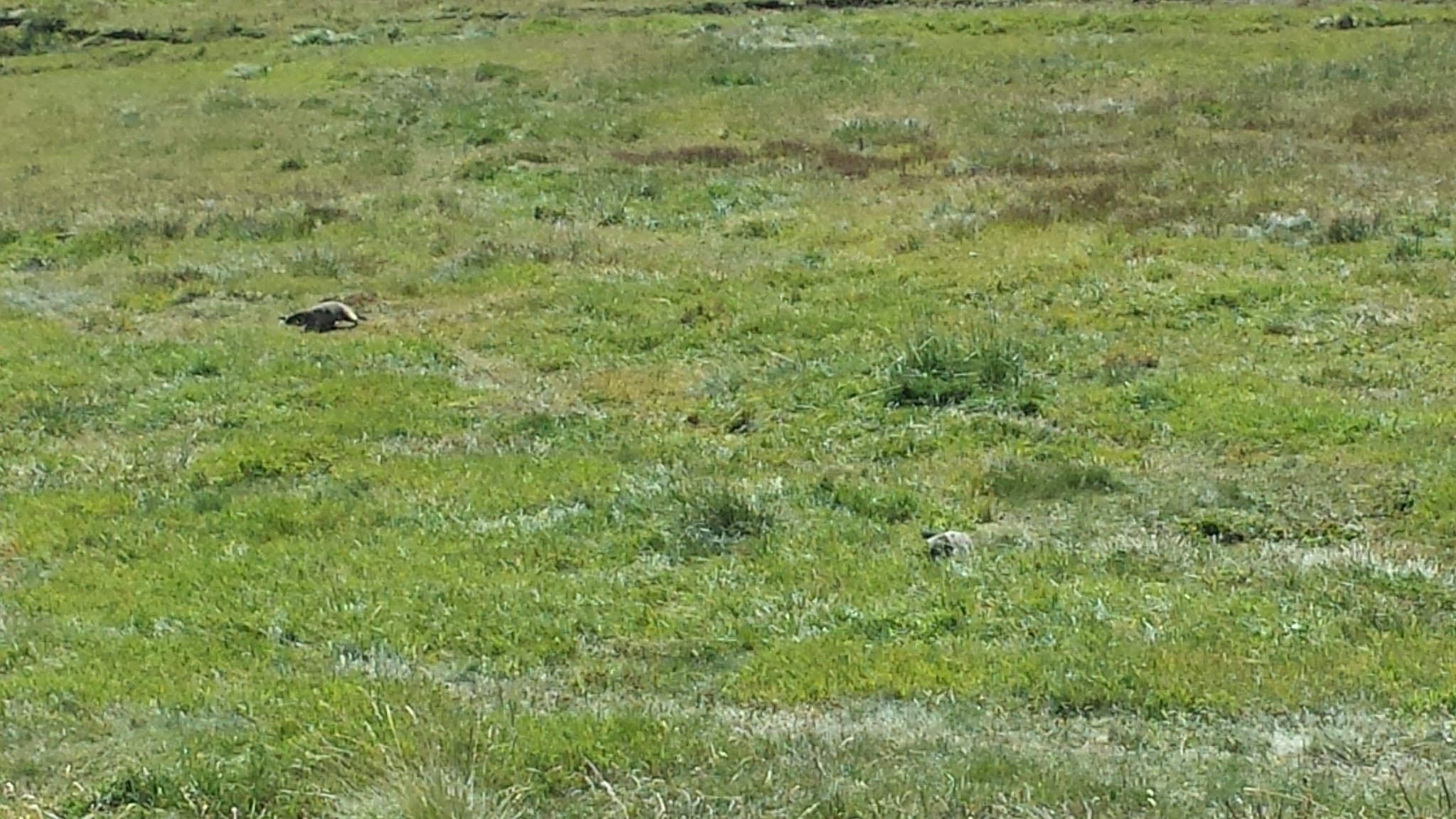 Photo n° 3 de l'avis de SANDRAZ.e fait le 25/08/2017 à 07:58