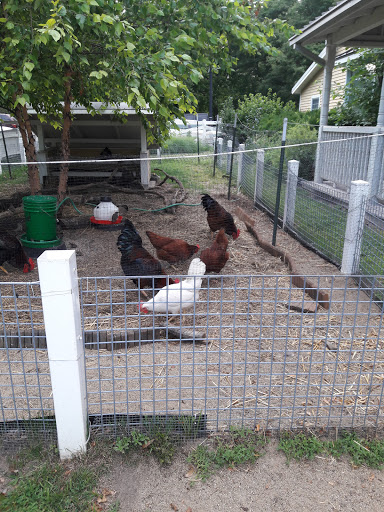 Zoo «Farm In The Zoo», reviews and photos, 1911 N Stockton Dr, Chicago, IL 60614, USA