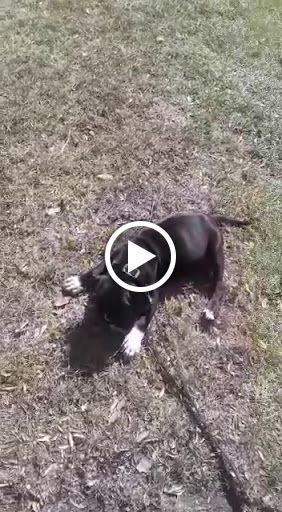 Supermarket «Nob Hill Foods», reviews and photos, 611 Trancas St, Napa, CA 94558, USA