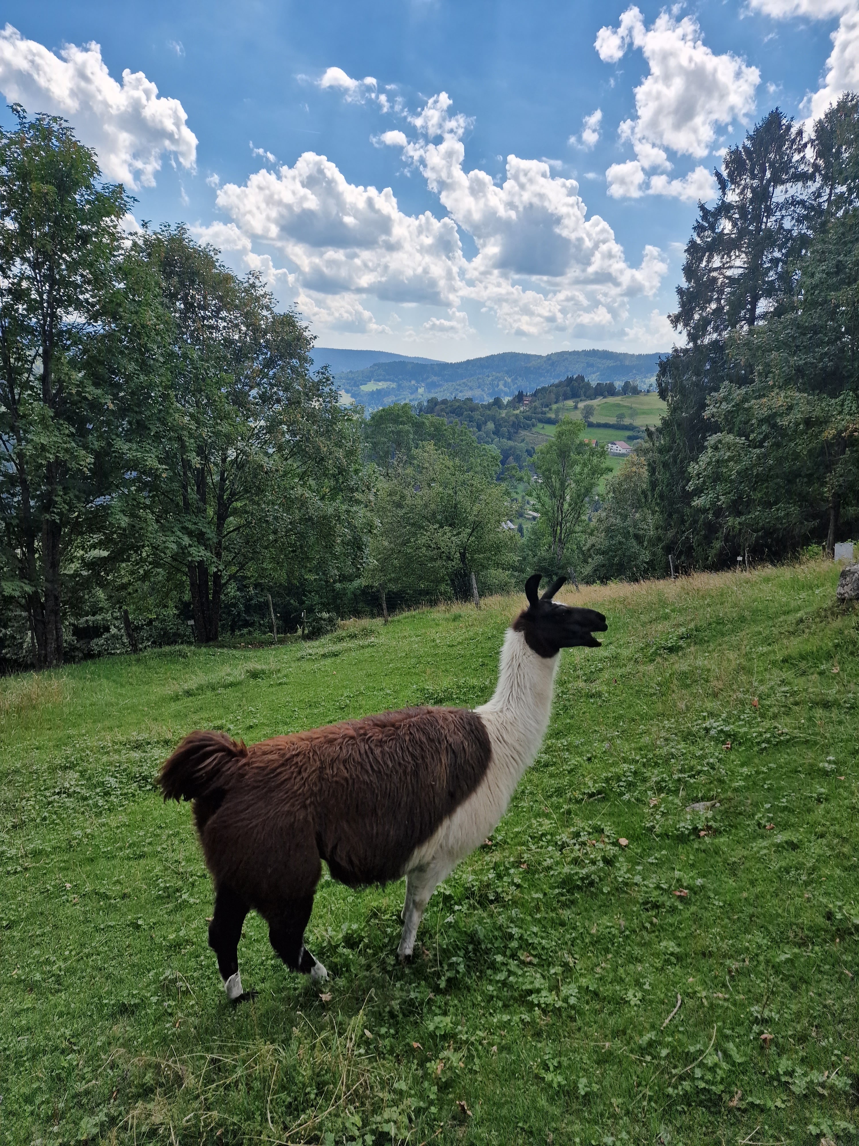Photo n° 1 de l'avis de Valérie.o fait le 25/08/2023 à 10:22