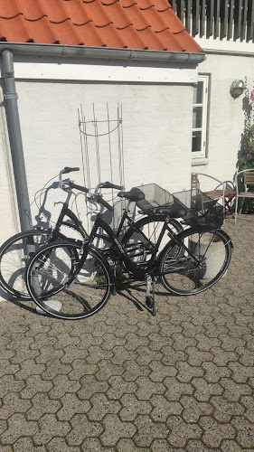 Anmeldelser af Hjortnæs Cykeludlejning v/ Søren Hjortnæs i Frederikshavn - Cykelbutik
