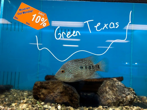 Tropical Fish Store «Richmond Aquarium», reviews and photos, 3645 Speeks Dr, Midlothian, VA 23112, USA