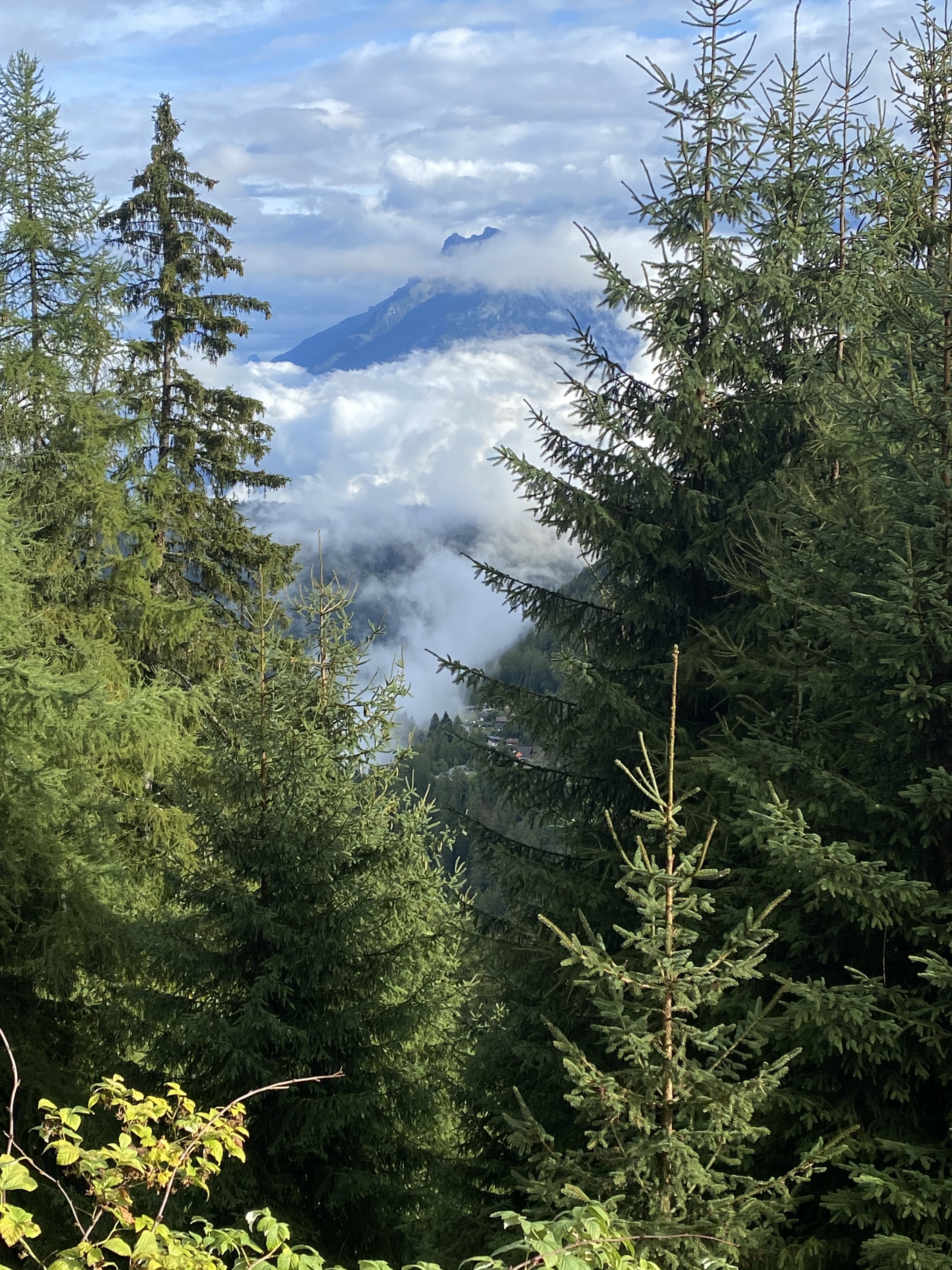 Photo n° 3 de l'avis de pascal.a fait le 26/09/2023 à 17:20