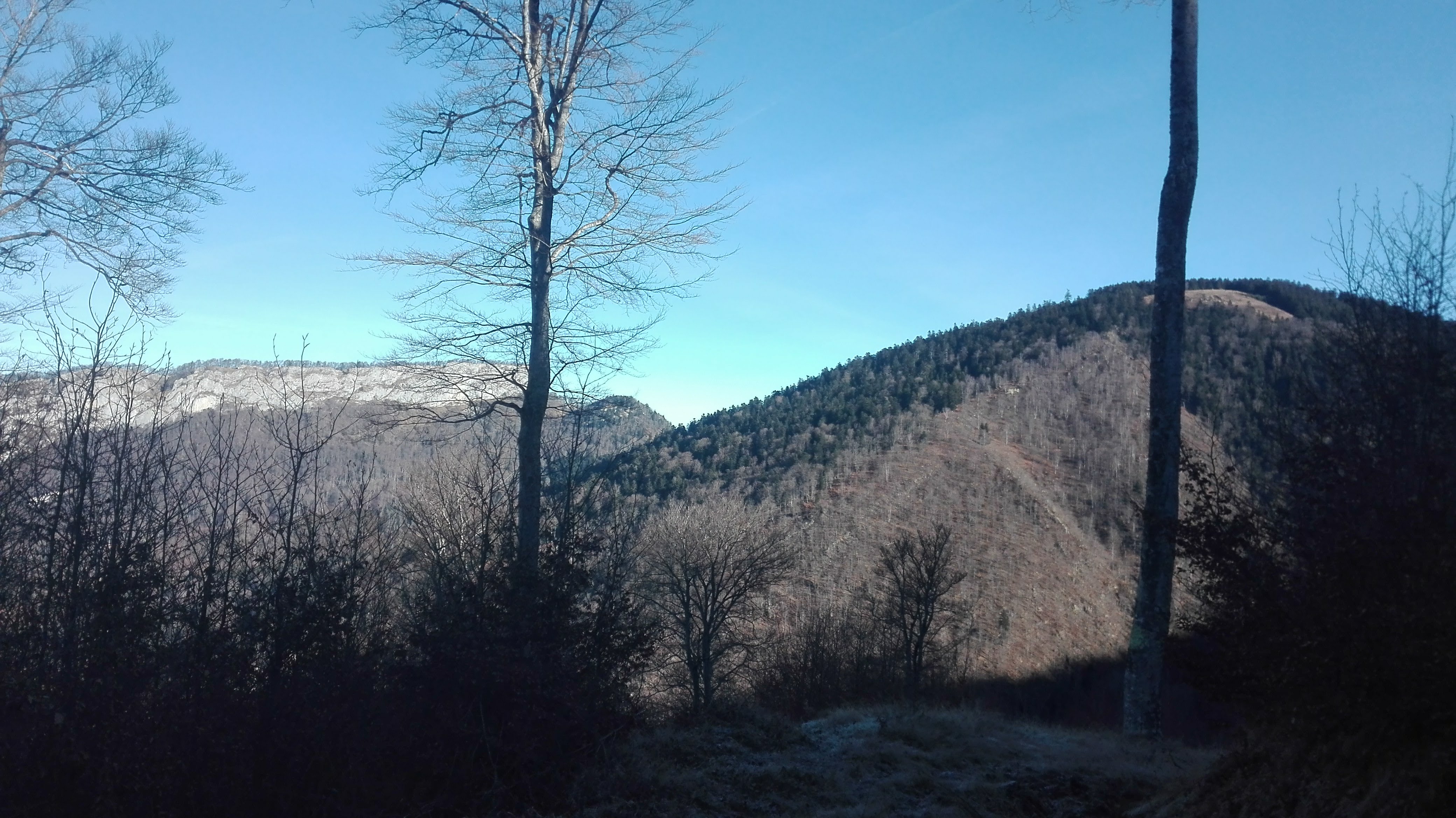 Photo n° 9 de l'avis de LOUIT.O fait le 15/01/2019 à 15:47