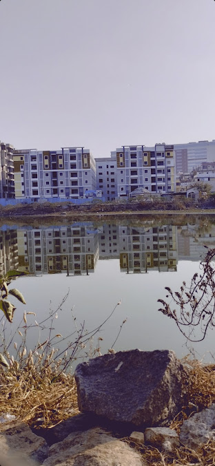 Google Maps image 12