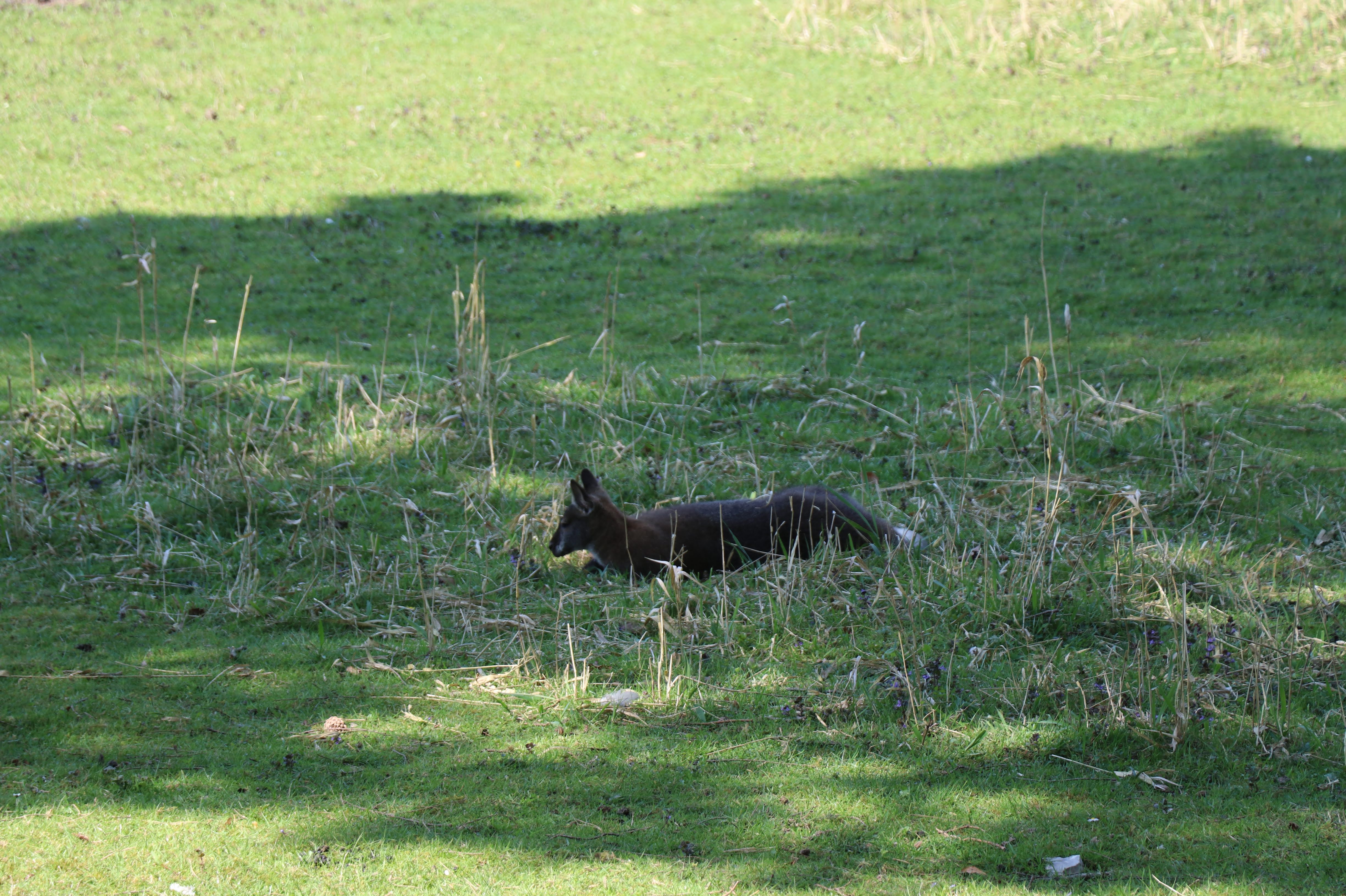 Photo n° 4 de l'avis de Julien.a fait le 21/04/2019 à 07:39