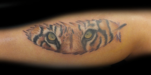 Explore marine life tattoo ideas, creative tattoo ideas in Saint Marys, available at Empire Tattoo