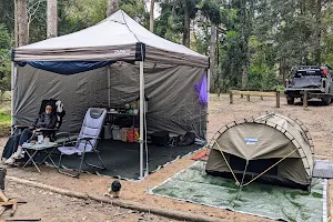 Booloumba Creek Camping Area 1 image