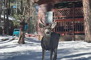 Dan Dee Cabins image