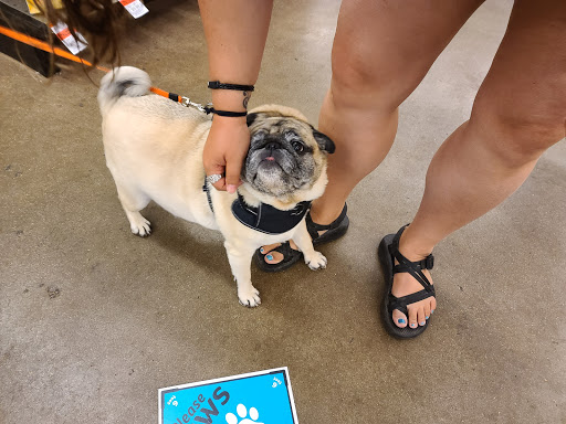 Pet Supply Store «Pet Supplies Plus», reviews and photos, 2600 McFarland Blvd E U, Tuscaloosa, AL 35405, USA