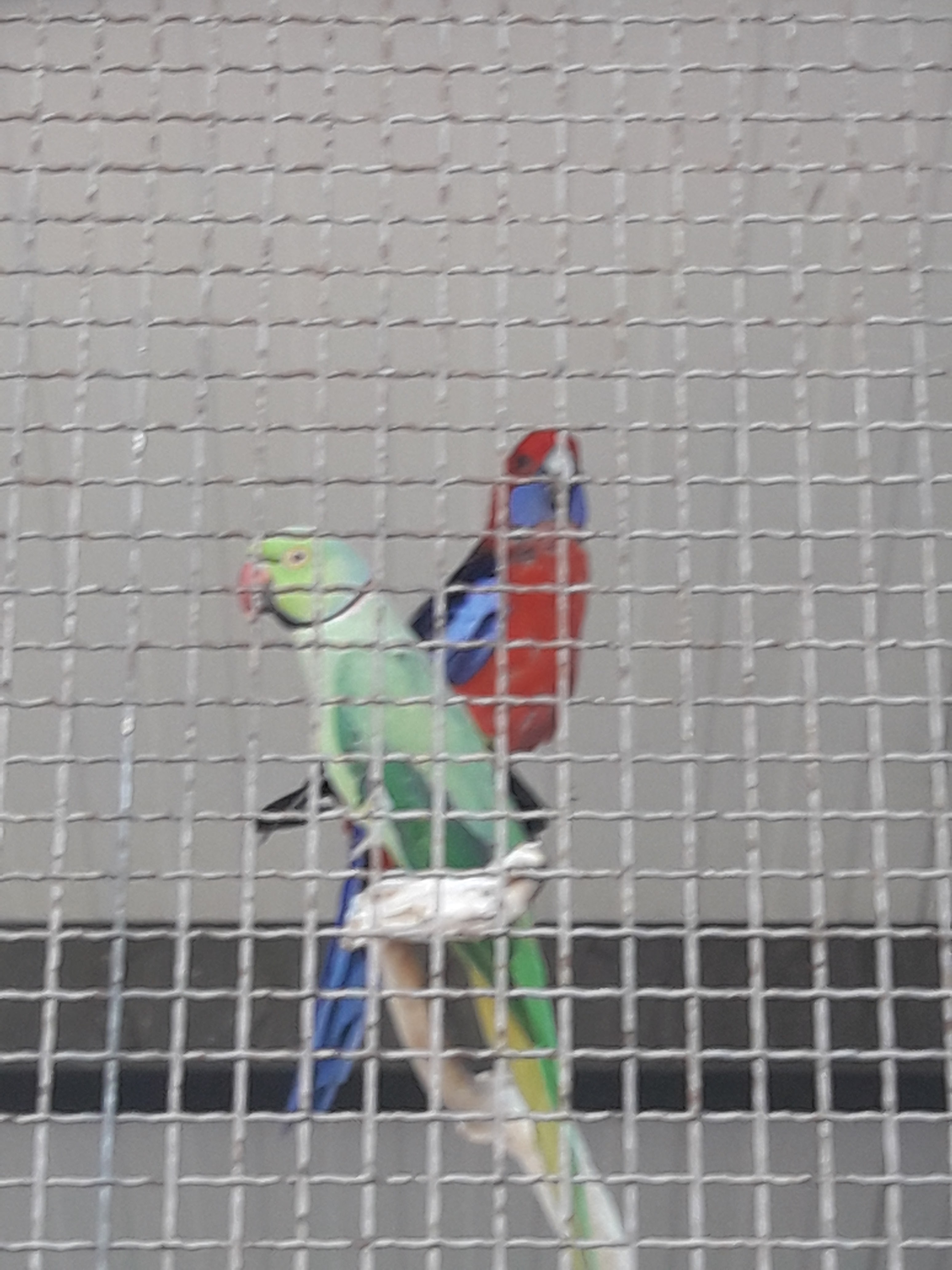 Photo n° 13 de l'avis de Lionel.a fait le 29/06/2019 à 10:44
