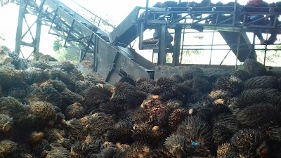 Photos of Parke Central Chiripa