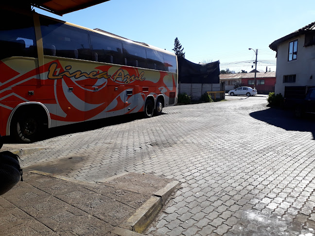 Opiniones de Terminal De Buses San Sebastian en Yumbel - Agencia de viajes