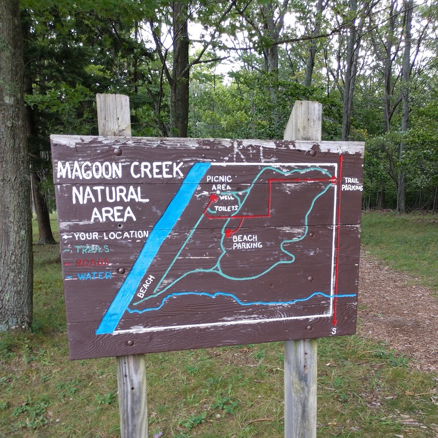 Magoon Creek Natural Area