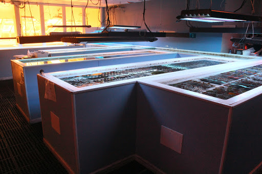 Pet Supply Store «Pacific East Aquaculture», reviews and photos, 107 School St, Mardela Springs, MD 21837, USA