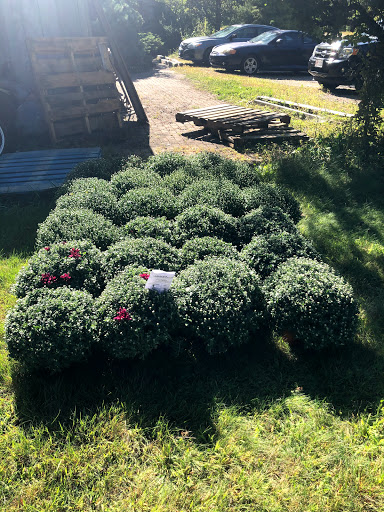 Gift Shop «Oronoque Farms», reviews and photos, 188 Leavenworth Rd, Shelton, CT 06484, USA