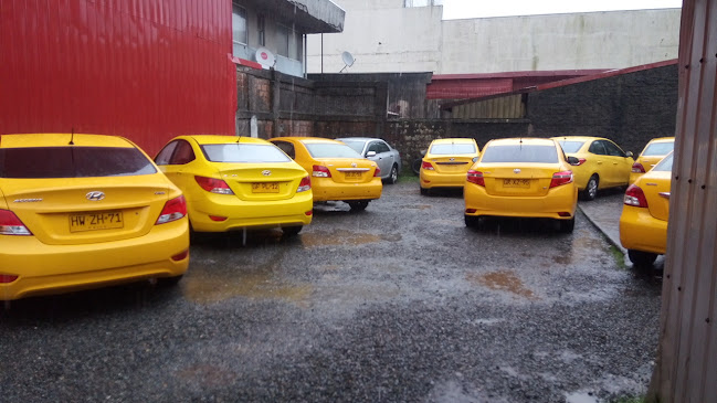 Opiniones de Colectivos Tomé Concepción en Tomé - Servicio de taxis