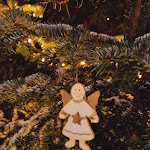 Photo n°1 de l'avis de Kathrin.o fait le 28/12/2023 à 22:56 sur le  Zum Dorfkrug Restaurant à Neu Wulmstorf