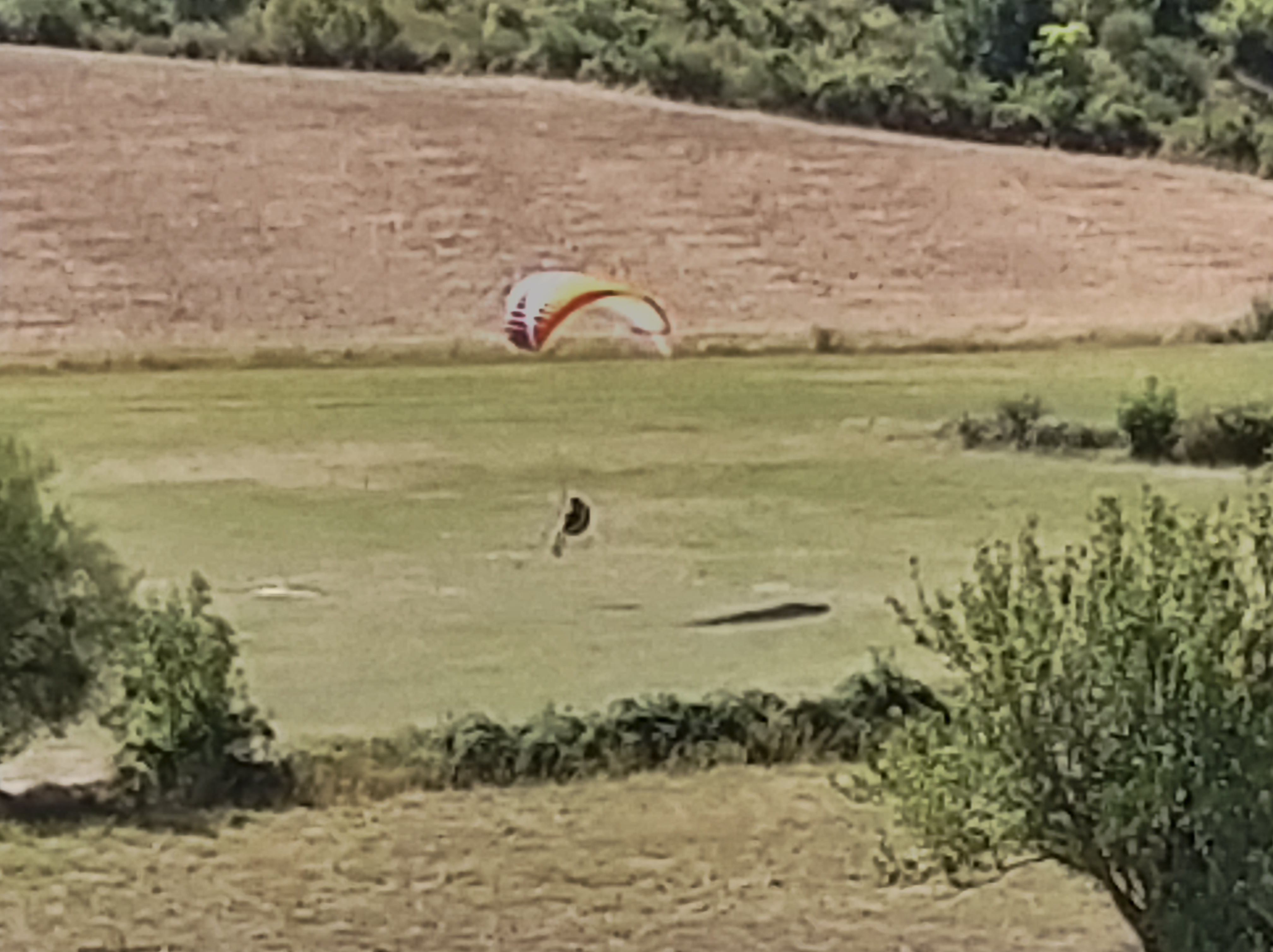 Photo n° 4 de l'avis de Thierry.o fait le 14/09/2020 à 15:27
